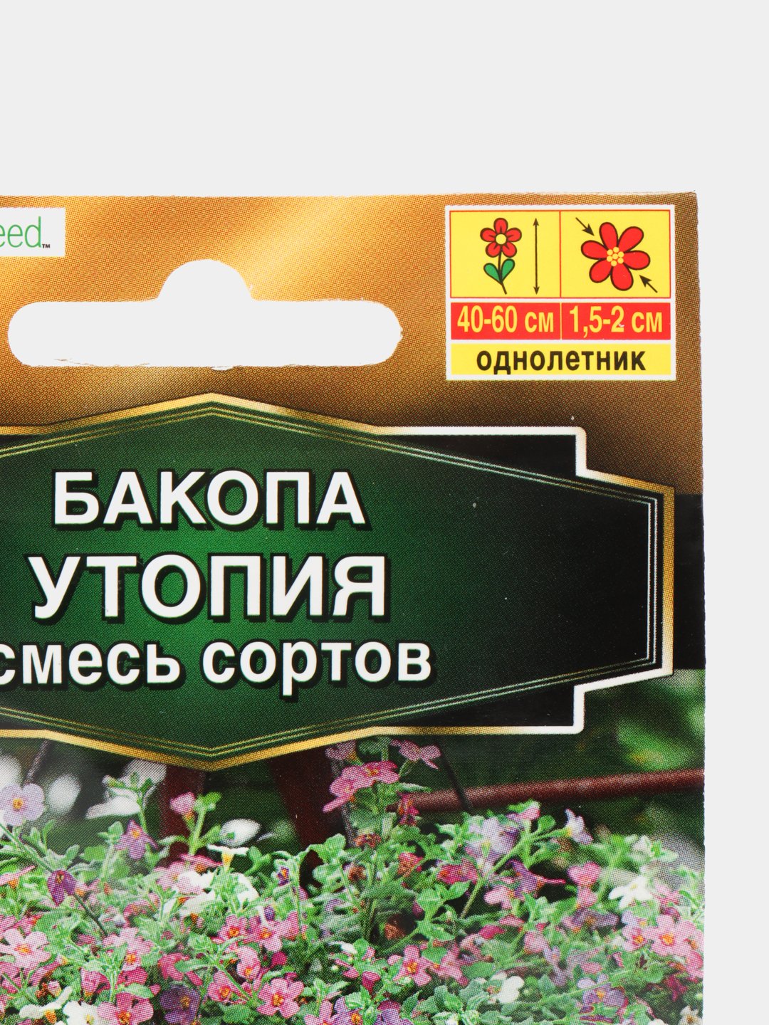 Купить Черенки Бакопы В Краснодарском Крае