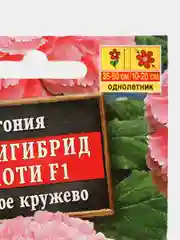 Семена цветов Бегония "Америгибрид Пикоти F1", розовое кружево