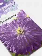 Цинния "Лиловый император" (семена, цветы)