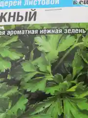 Семена Сельдерей "Нежный листовой", Сибирский Сад, 0,5 г