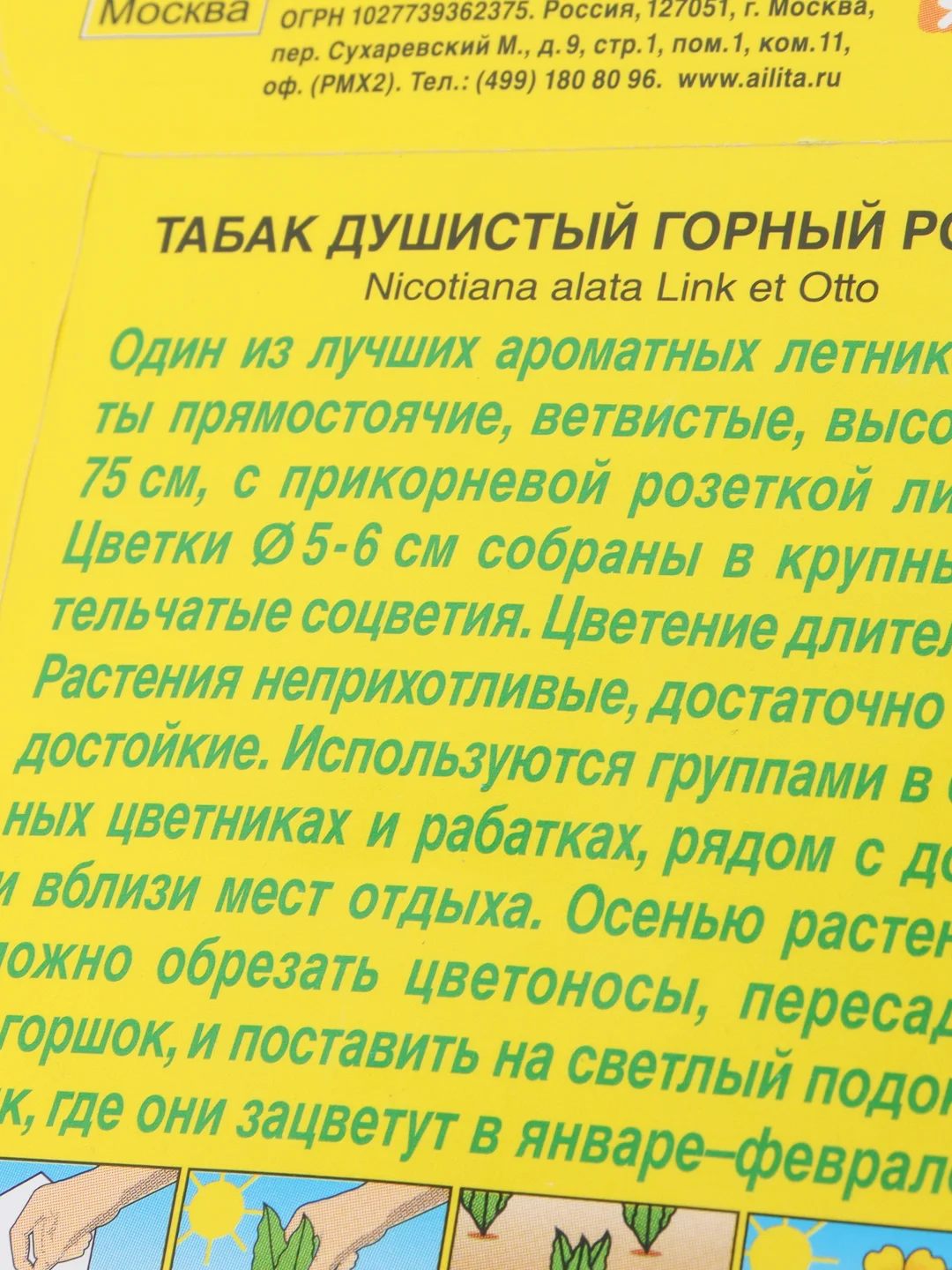 Табак Горный родник (семена)