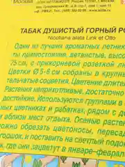 Табак Горный родник (семена)