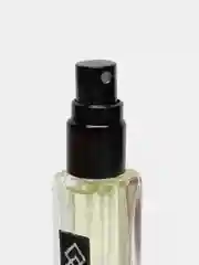 10 мл / Аромат по мотивам Molecule 02 / Молекула 02 / LUXURY OIL 015