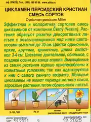 Цикламен персидский Кристиан, смесь (семена, цветы)