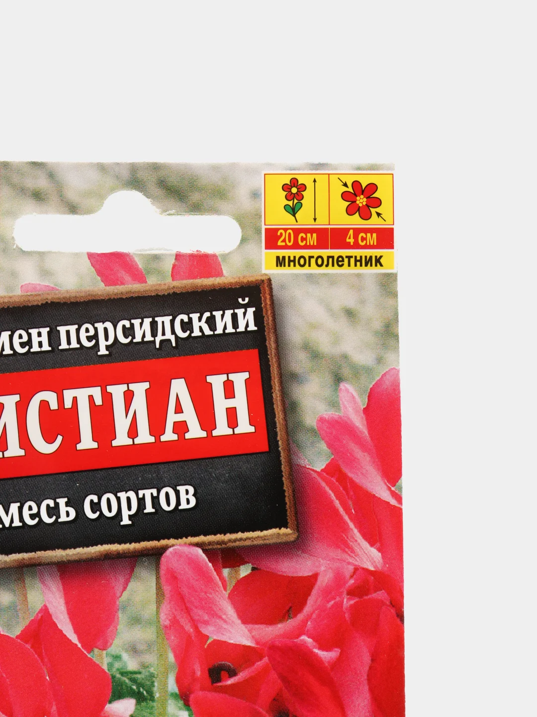 Цикламен персидский Кристиан, смесь (семена, цветы)