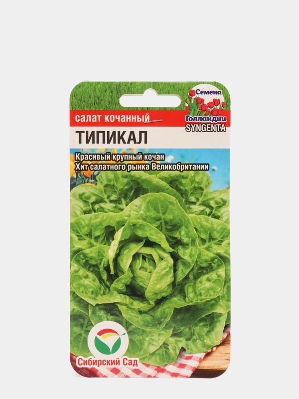 Семена Салат "Типикал", 10 штук, Сиб Сад