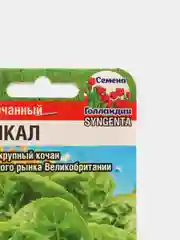Семена Салат "Типикал", 10 штук, Сиб Сад