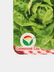 Семена Салат "Типикал", 10 штук, Сиб Сад