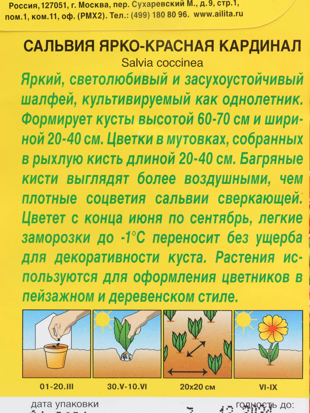 Семена цветов Сальвия "Кардинал", 0.1 г
