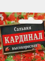 Семена цветов Сальвия "Кардинал", 0.1 г