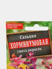 Семена цветов Сальвия Хорминумовая смесь окрасок, 0,3 г
