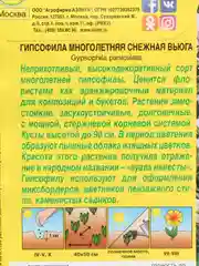 Семена цветов Гипсофила махровая "Снежная вьюга", 0.05 г