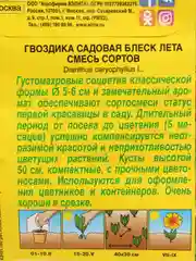 Семена цветов Гвоздика садовая "Блеск лета", смесь окрасок, О, 0.1 г