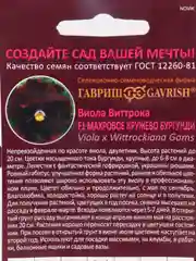 Семена цветов, Виола "Махровое кружево бургунди"