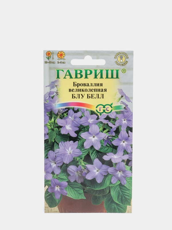 Броваллия великолепная "Блу Белл"