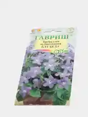 Броваллия великолепная "Блу Белл"