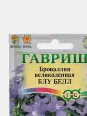 Броваллия великолепная "Блу Белл"