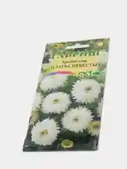 Хризантема "Платье невесты", семена