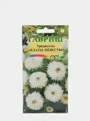 Хризантема "Платье невесты", семена