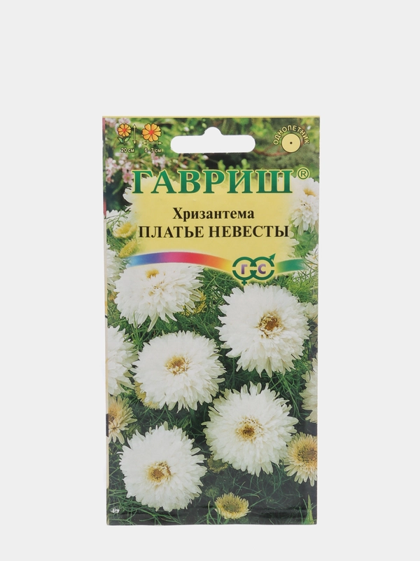 Хризантема "Платье невесты", семена