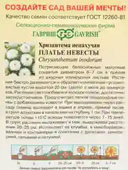 Хризантема "Платье невесты", семена