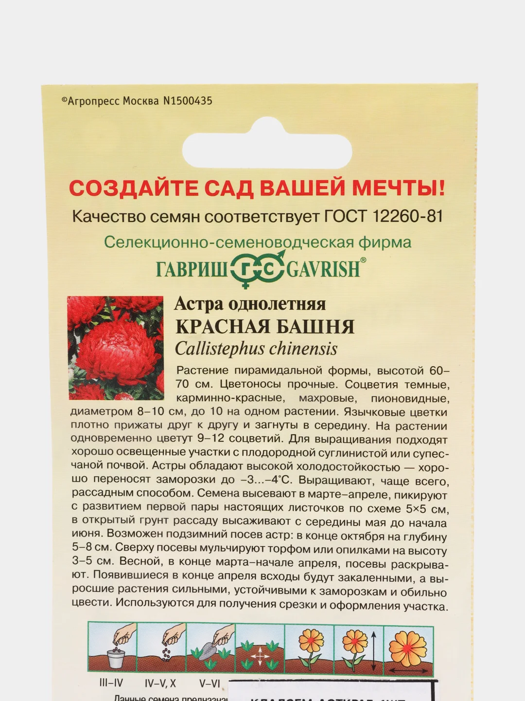 семена цветов Астра пионовидная "Красная башня"