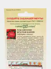 семена цветов Астра пионовидная "Красная башня"