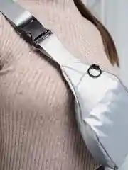 Серебряный сумка на пояс