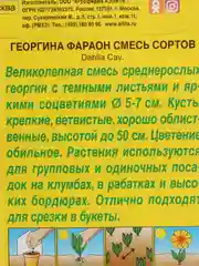 Семена Георгина смесь сортов "Фараон" набор 1, 3, 5 уп