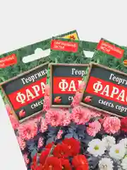 Семена Георгина смесь сортов "Фараон" набор 1, 3, 5 уп