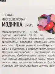Семена Петуния "Модница" набор 1, 3, 5 уп