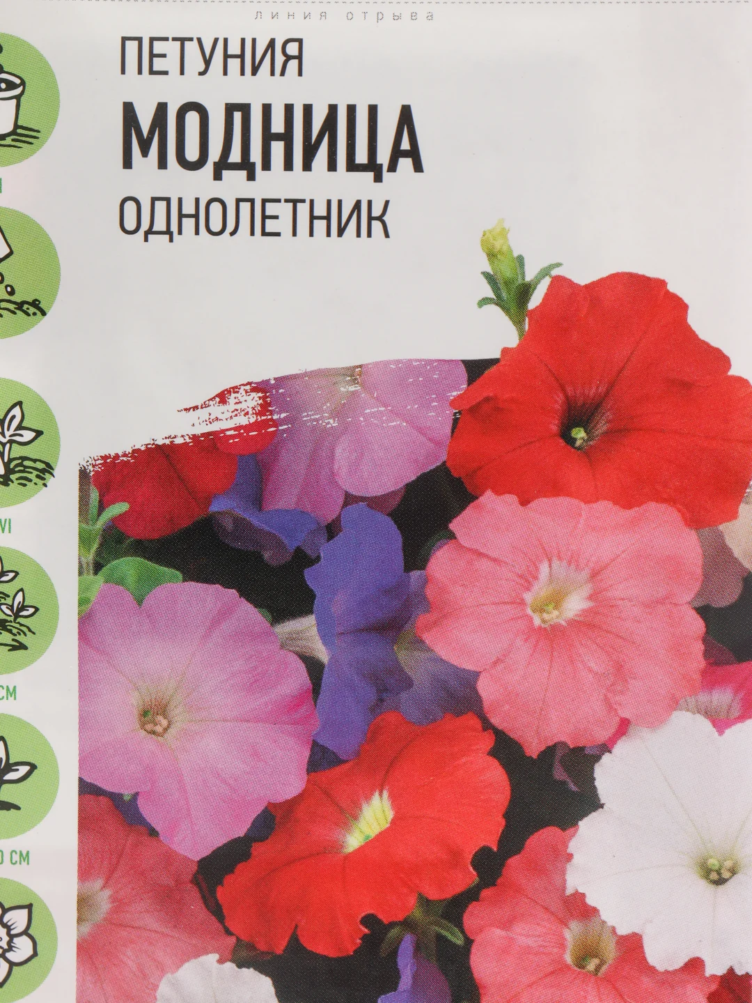 Семена Петуния "Модница" набор 1, 3, 5 уп
