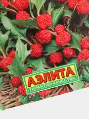 Семена Шпинат "Земляничный" набор 1, 3, 5 уп