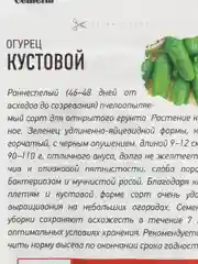 Семена Огурец "Кустовой" набор 1, 3, 5 уп