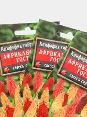 Семена Книфофия "Африканский гость" набор 1, 3, 5 уп
