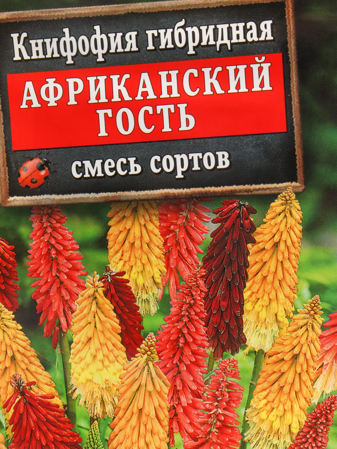 Семена Книфофия "Африканский гость" набор 1, 3, 5 уп