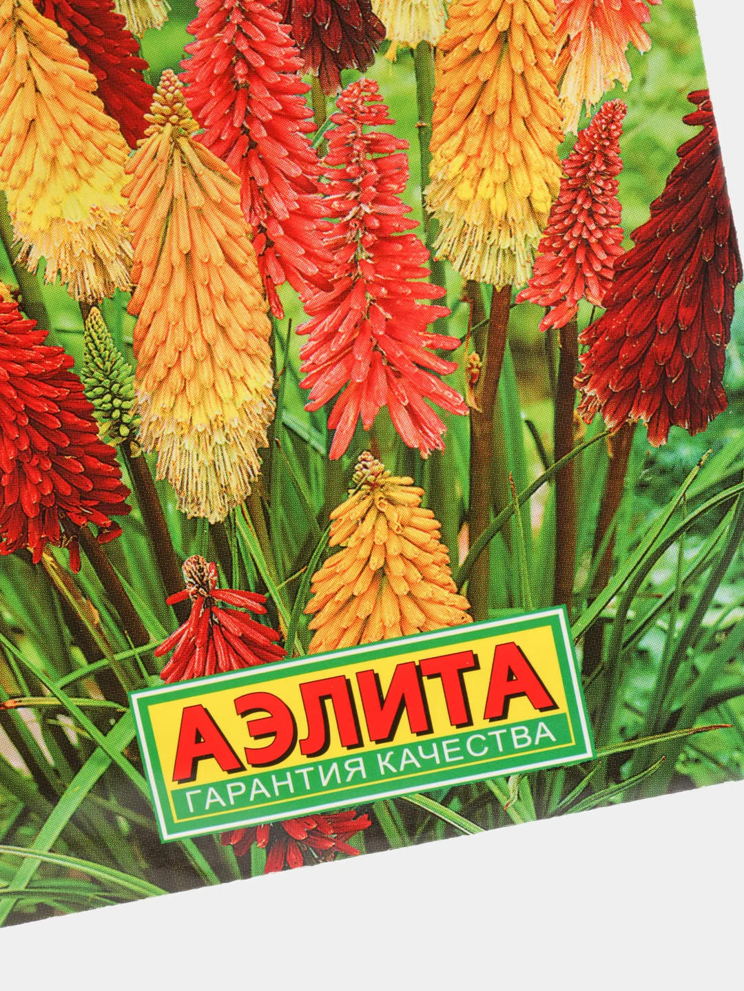 Семена Книфофия "Африканский гость" набор 1, 3, 5 уп