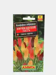 Семена Книфофия "Африканский гость" набор 1, 3, 5 уп