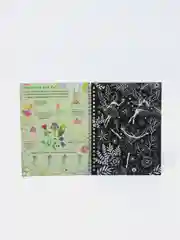 Черный активити книга "Гравюры" для девочек, с заданиями