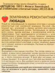 Земляника Любаша (семена)