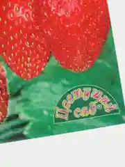 Земляника Любаша (семена)