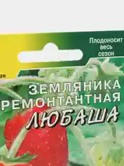 Земляника Любаша (семена)