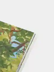 Рикки-Тикки-Тави. Редьярд Киплинг. Для самостоятельного чтения
