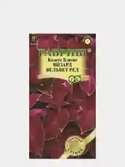 Семена Колеус Блюме  Визард вельвет ред