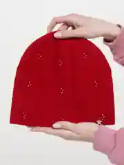 Красный вязаная шапка Брусника