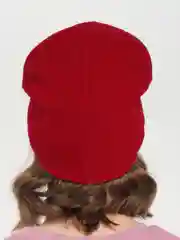Красный вязаная шапка Брусника