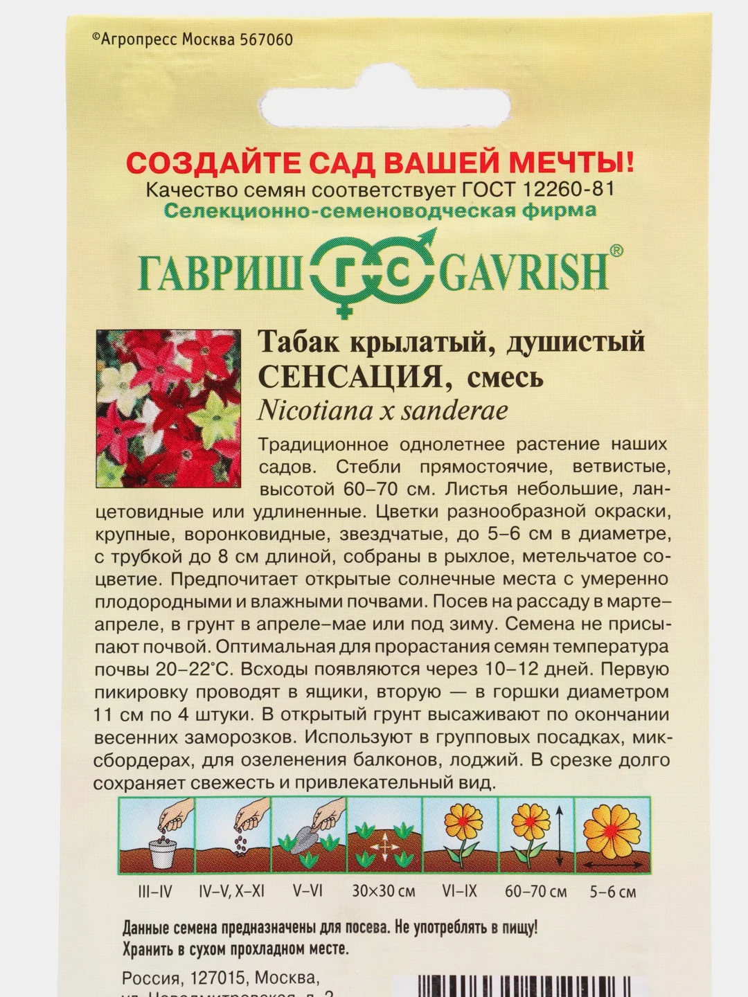 Табак крылатый "Сенсация", семена