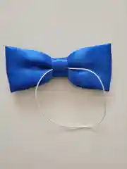 Бабочка каравальная