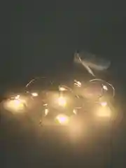 Лимонный гирлянда на батарейках, led-нить для поделок, украшения подарков, декор-подсветка