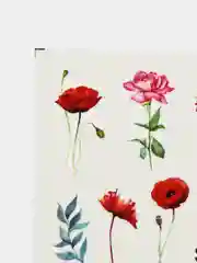 Коралловый наклейки для маникюра ногтей, слайдеры